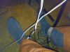 Filename=27.jpg
Filesize=173KB
Dimensions=800x600
Date added=Jan 30, 2007 27.jpg