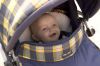 Filename=7.jpg
Filesize=138KB
Dimensions=800x533
Date added=Jun 22, 2006 7.jpg
